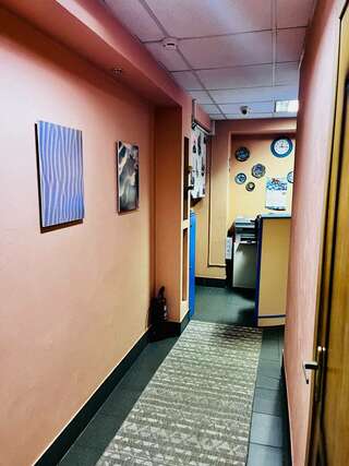 Гостиница Визит Нижний Новгород Двухместный номер с 2 отдельными кроватями, вид на сад-7